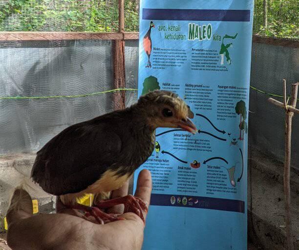 468596826_422521507597592_6437439859795679632_n