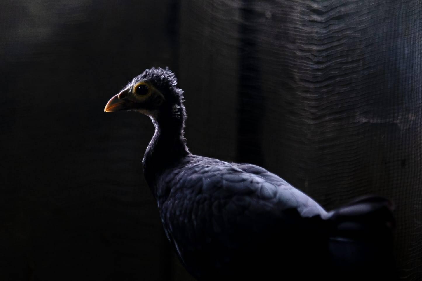 475105118_465766586606417_5219925933886990527_n