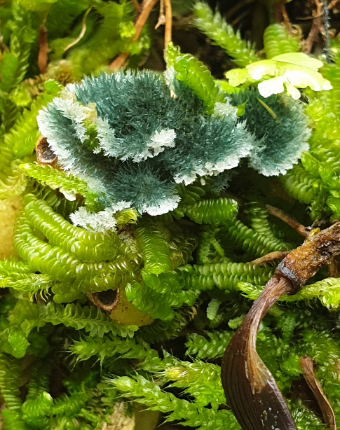 Screenshot 2026-02-06 012524