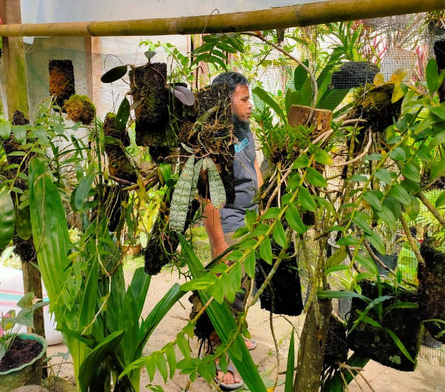 Screenshot 2026-02-06 012549