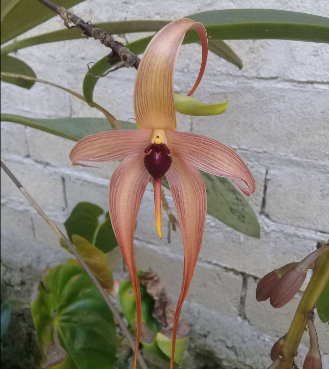 Screenshot 2026-02-06 012558