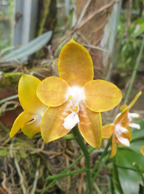 Screenshot 2026-02-06 012608