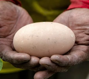 Screenshot 2026-02-06 113137