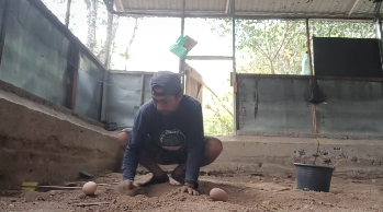 Screenshot 2026-02-06 113650