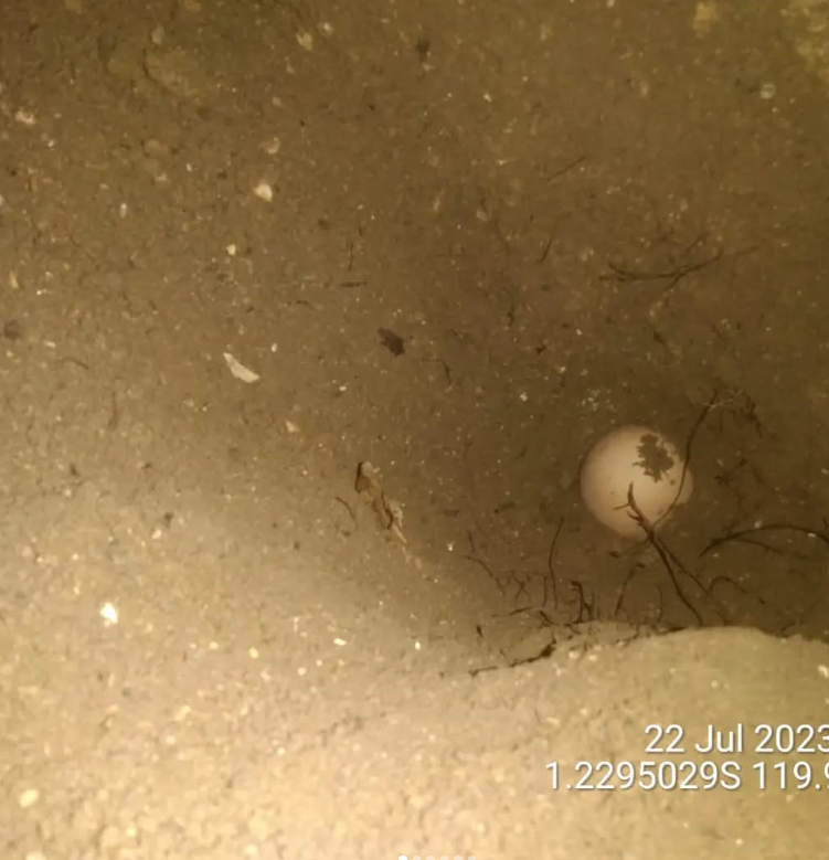 Screenshot 2026-02-06 202701