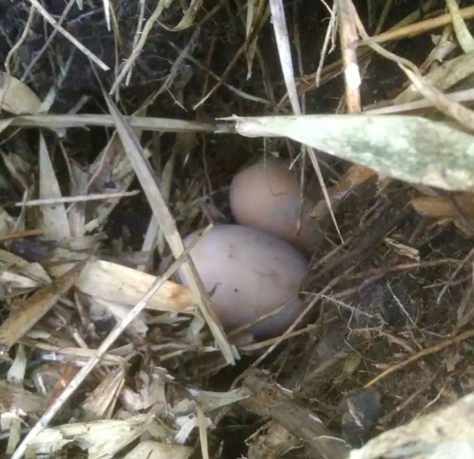 Screenshot 2026-02-06 202712