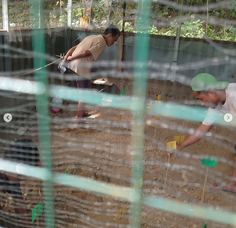 Screenshot 2026-02-06 202952