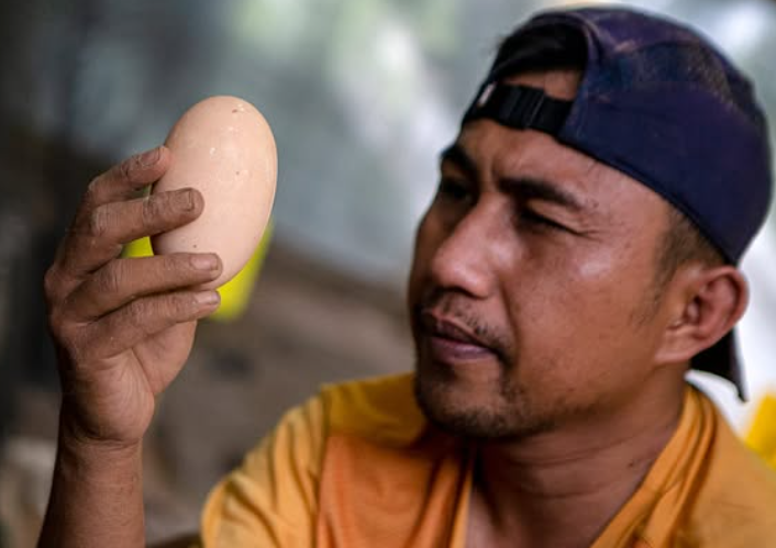 Screenshot 2026-02-06 203016