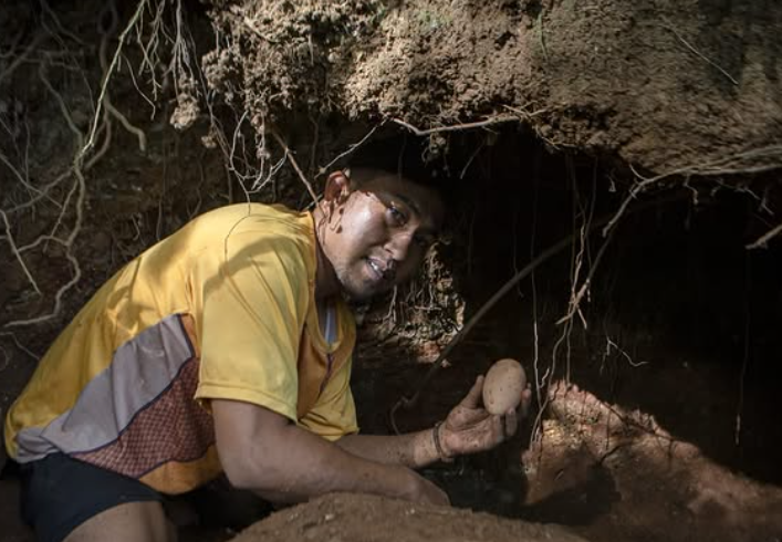 Screenshot 2026-02-06 203027