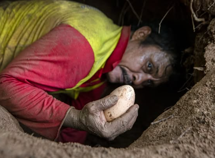 Screenshot 2026-02-06 203040