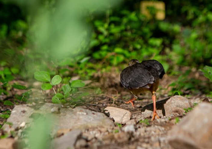 Screenshot 2026-02-06 203054