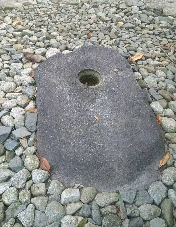 WhatsApp Image 2026-02-06 at 10.54.02 (1)