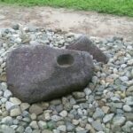 WhatsApp Image 2026-02-06 at 10.54.14