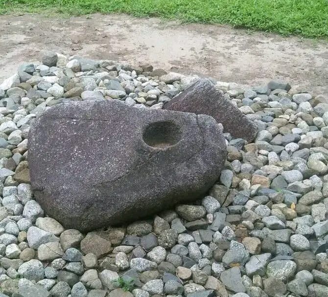 WhatsApp Image 2026-02-06 at 10.54.14