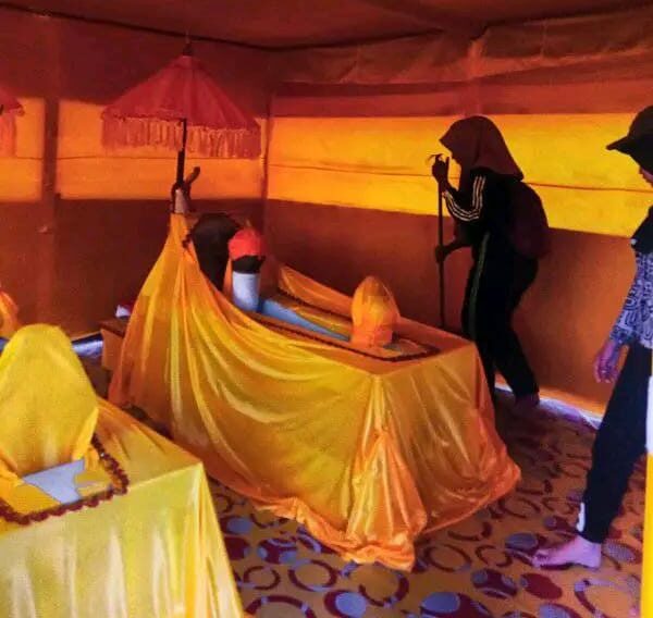 WhatsApp Image 2026-02-06 at 10.54.21