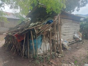 WhatsApp Image 2026-02-11 at 18.30.46